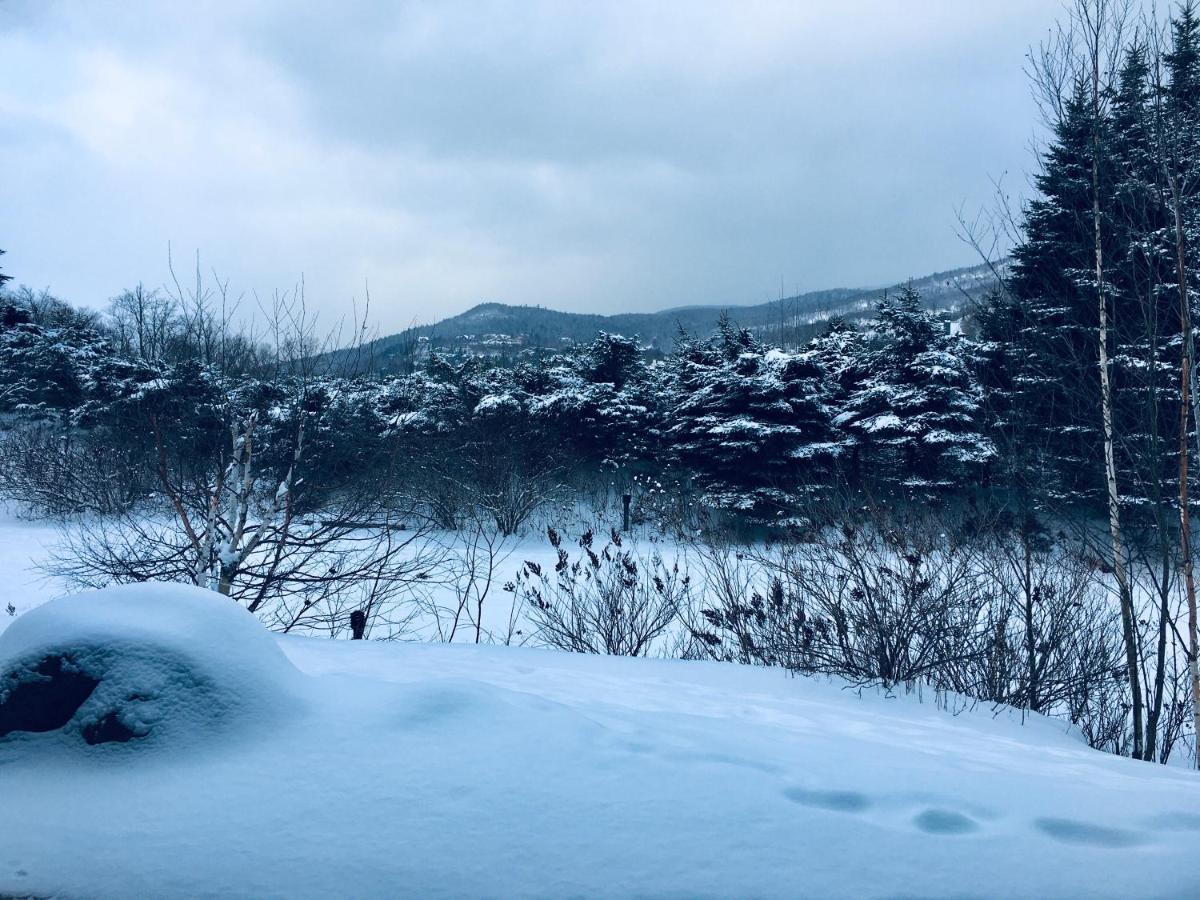 Le Boise Mont-Tremblantアパートメント エクステリア 写真